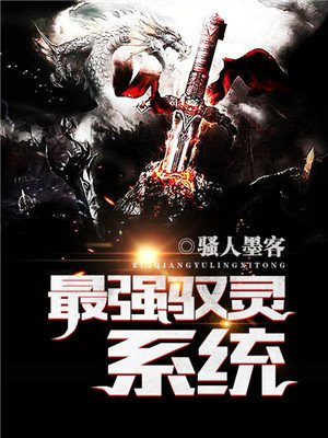 最强驭灵系统
