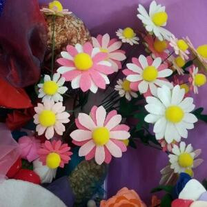 安然已梦茯苓未眠