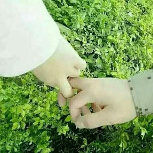小晓