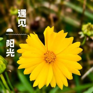 点心