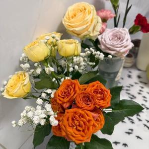 梦露ℳℯꪀℊ.ℒน