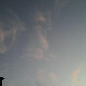 空寂茗幽