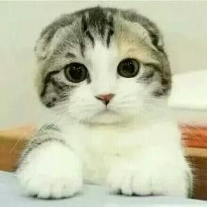 春少