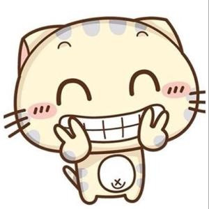 猫女侠