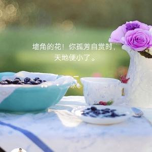 兜兜熊