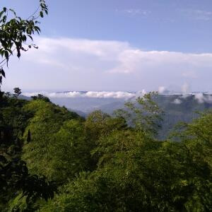 景汐唯顾