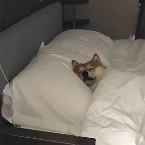 大艺术家