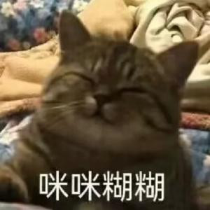 容光焕发小坨坨
