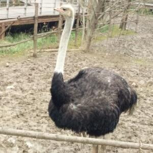 天下无敌