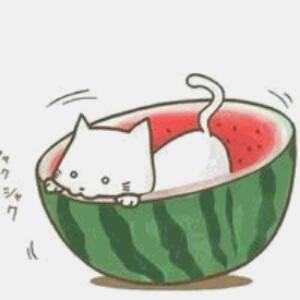 逗你玩