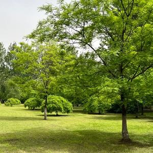 闲庭漫步