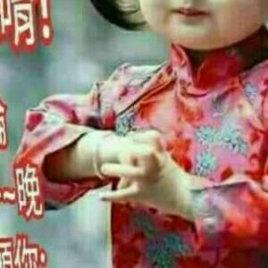 琪琪