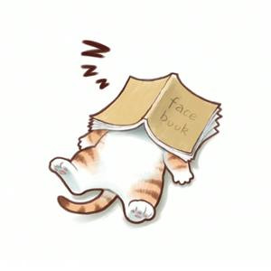 拽丫头