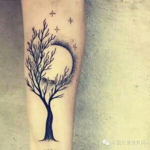 一枚小浪子丶