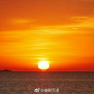 龙哥