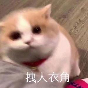 bia唧一口