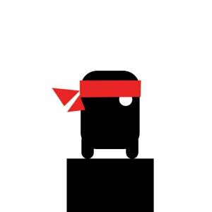 Echo