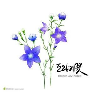 记忆
