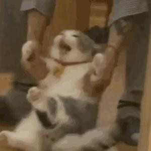 阿鱼还在画画
