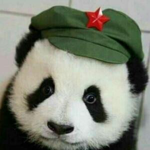 且放白鹿青崖间