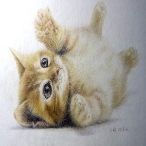 小刺猬
