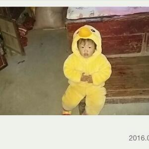 qzuser