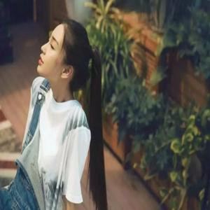 猫街小巷浅时光