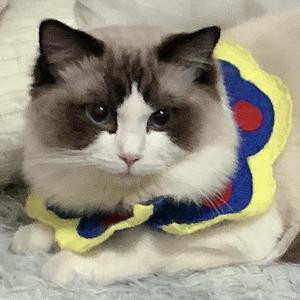 PUPU