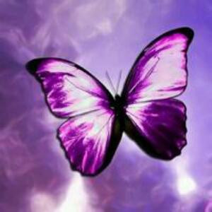 紫翼