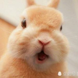 玥笙Ys