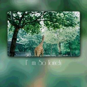 浅夏淡过花开时