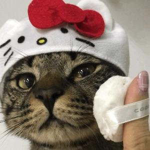 谁在秋千