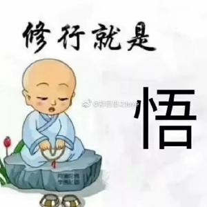 闲人牡丹