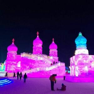 belogeny