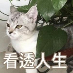 邪