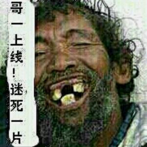 梦飞