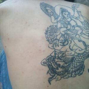 愤怒的老鸟~~\(^_^)/