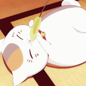 天天