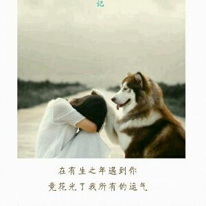 你所说的那个远方