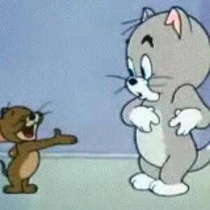 猫猫