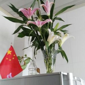 超级班助书虫
