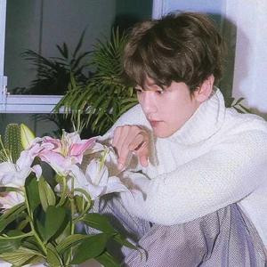 exo我爱你们