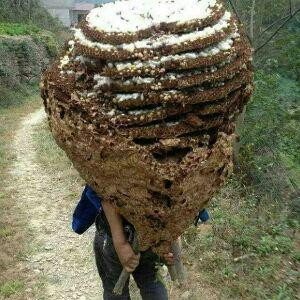 女孩为何穿短裙