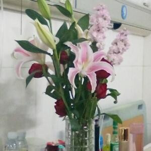 心如止水