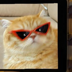 踩到我尾巴了啦