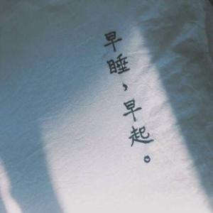 旧巷子里的猫
