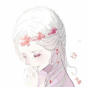 思琴