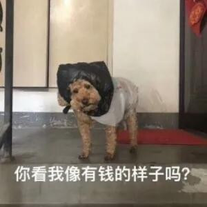 二傻宅急便