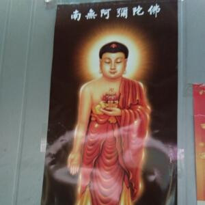 飞鱼