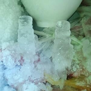 所罗门王